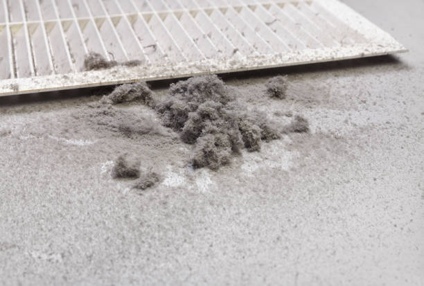 Best Air Duct Sanitizing Services  in Moreland Hills, OH