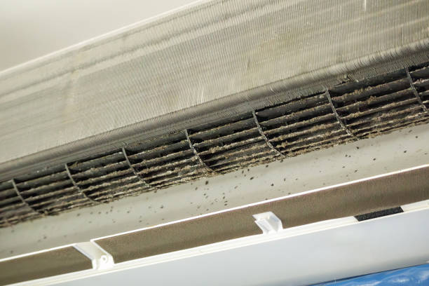 Best Home Air Vent Cleaning  in Moreland Hills, OH